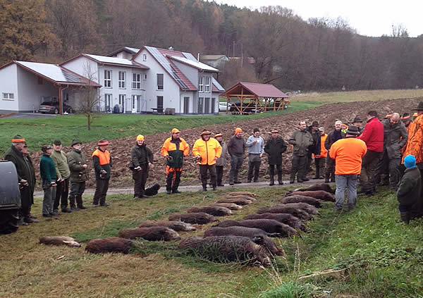 strecke-eichelsbach-hausen-2014
